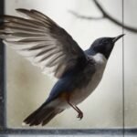 Bird keeps flying into window spiritual meaning