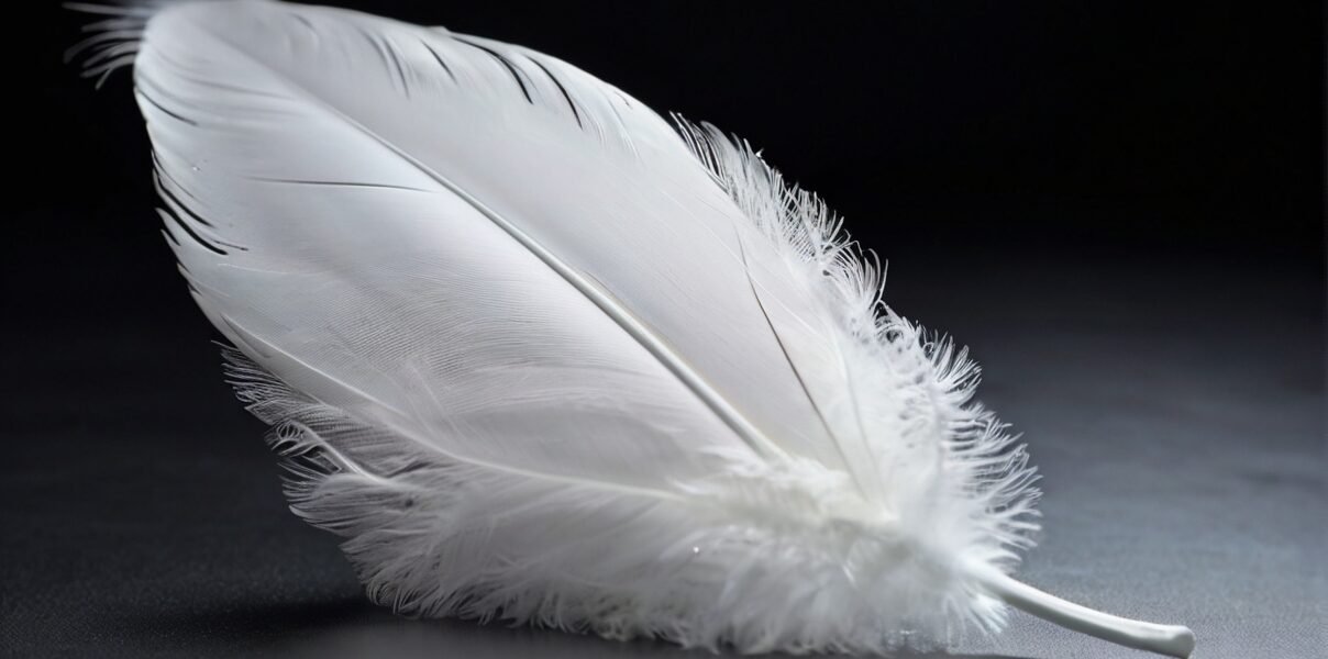 White feather spiritual meaning