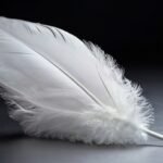 White feather spiritual meaning