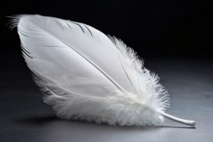 White feather spiritual meaning